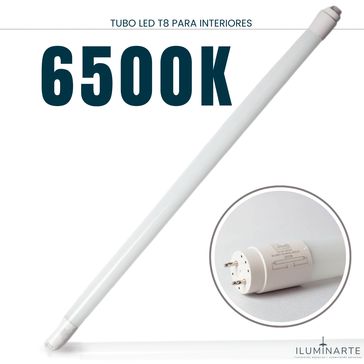 EBELI Tubo T8 LED Blanco 6500K 9 WATT 60 CM